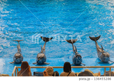 愛知県名古屋市 名古屋港水族館 愛知県名古屋市 名古屋港水族館 136455286