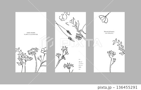 植物のベクターイラストセット。モノクロの植物デザインテンプレート。ハガキデザインセット。 136455291