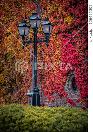 北海道札幌市 秋の札幌ファクトリーと紅葉の風景 北海道札幌市 秋の札幌ファクトリーと紅葉の風景 136455303
