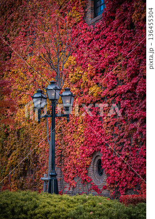 北海道札幌市 秋の札幌ファクトリーと紅葉の風景 北海道札幌市 秋の札幌ファクトリーと紅葉の風景 136455304