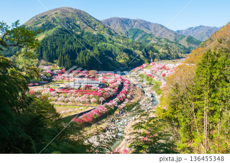 花桃の里 136455348
