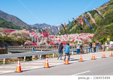 花桃の里（花桃まつり） 136455494