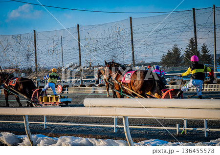北海道帯広市 冬のばんえい十勝競馬の風景 136455578