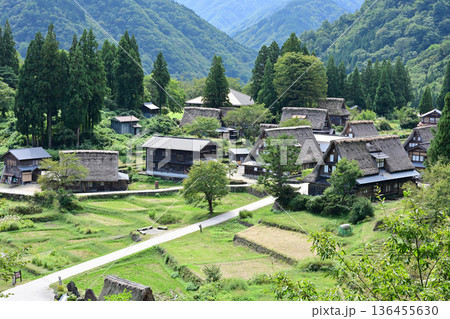 相倉合掌造り集落展望台 136455630