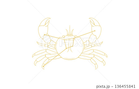 蟹座の線画イラスト(ゴールド色で蟹の絵と星座線、線のみで塗りなし) 蟹座の線画イラスト(ゴールド色で蟹の絵と星座線、線のみで塗りなし) 136455841