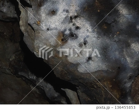 洞窟内でライトを当てると銀色に輝く謎の物質（20260204104534） 136455853