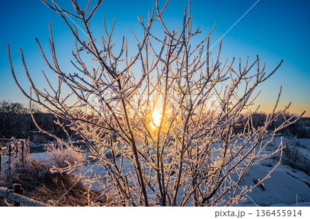 北海道鶴居村 冬の早朝 音羽橋と気嵐の幻想的な風景 136455914