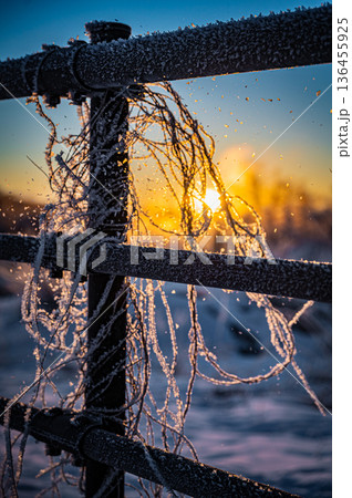 北海道鶴居村 冬の早朝 音羽橋と気嵐の幻想的な風景 136455925