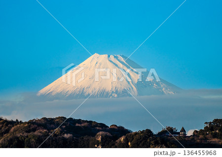 黄金崎からの富士山【静岡県賀茂郡西伊豆町】 136455968