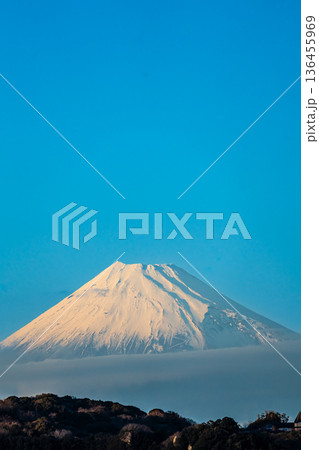 黄金崎からの富士山【静岡県賀茂郡西伊豆町】 136455969