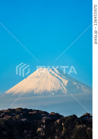 黄金崎からの富士山【静岡県賀茂郡西伊豆町】 黄金崎からの富士山【静岡県賀茂郡西伊豆町】 136455970