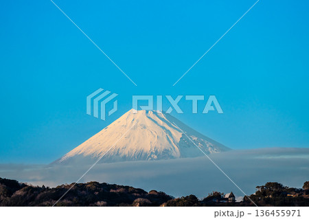 黄金崎からの富士山【静岡県賀茂郡西伊豆町】 136455971