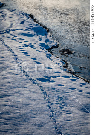 北海道鶴居村 冬の早朝 音羽橋と気嵐の幻想的な風景 136455978
