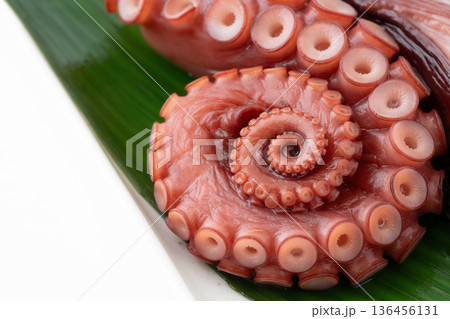 蒸し蛸(ヤナギダコ)の足のクローズアップ 蒸し蛸(ヤナギダコ)の足のクローズアップ 136456131