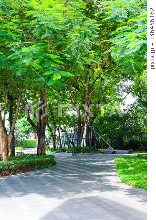 緑の多いビルのエントランス 136456162