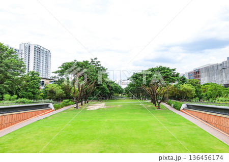 緑のある都会の公園の風景 緑のある都会の公園の風景 136456174