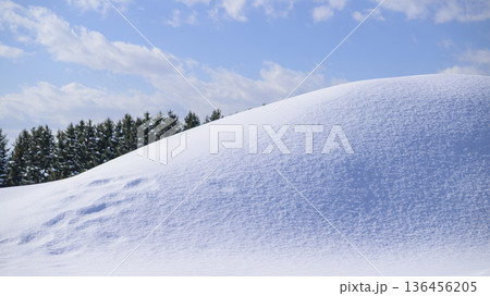 雪の丘のバックグラウンド 雪の丘のバックグラウンド 136456205