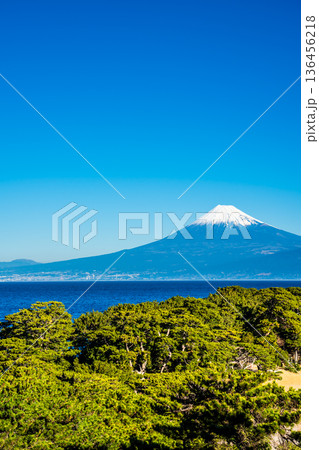 御浜岬と富士山【静岡県沼津市】 136456218