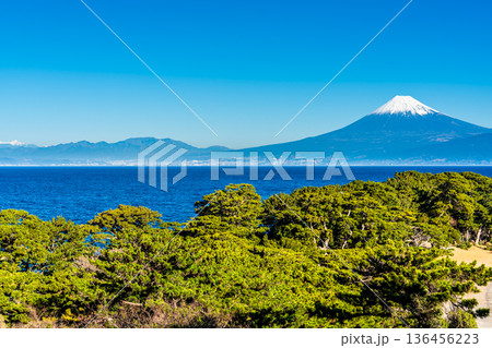 御浜岬と富士山【静岡県沼津市】 136456223