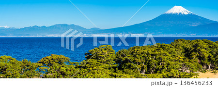 御浜岬と富士山　パノラマ【静岡県沼津市】 136456233