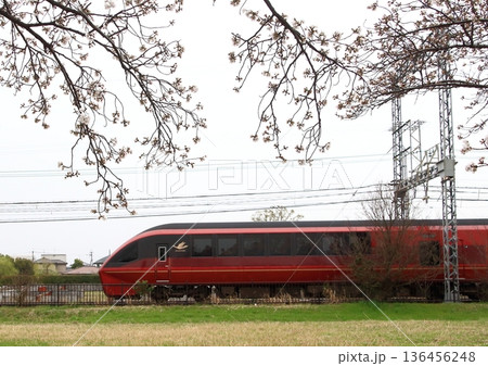 奈良平城宮跡内の近鉄奈良線で満開の桜を横目に走行する『特急ひのとり』 奈良平城宮跡内の近鉄奈良線で満開の桜を横目に走行する『特急ひのとり』 136456248