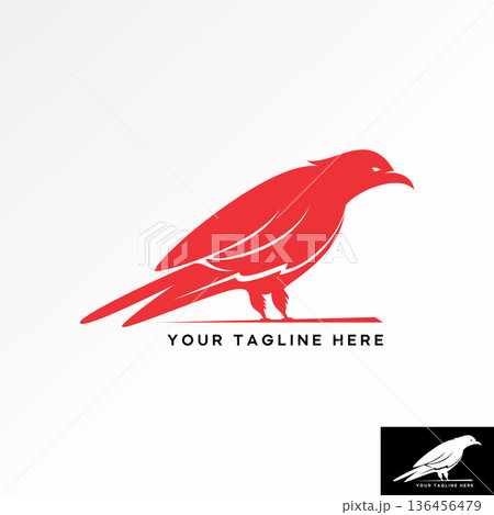 Animal bird eagle falcon hawk claw predator raptor strong mascot tech sport logo design graphic concept creative premium vector stock image top sell 136456479