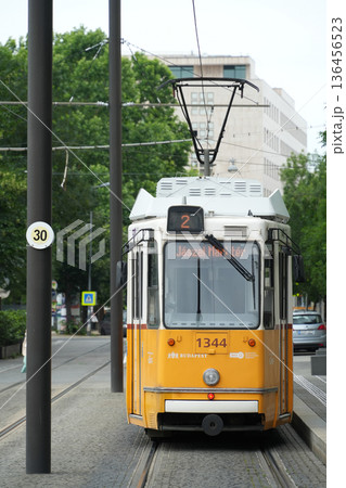 ハンガリー_ブダペスト_ドナウ河岸 136456523