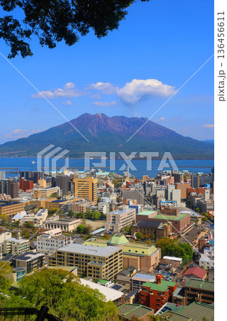桜島と市街地（鹿児島県・鹿児島市） 136456611