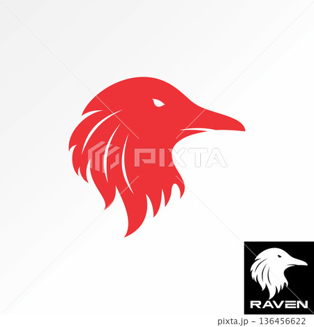 Animal bird head hawk eagle falcon predator raptor strong mascot tech sport logo design graphic concept creative premium vector stock image top sell 136456622