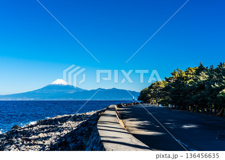 潮風のベンチからの富士山【静岡県沼津市】 136456635
