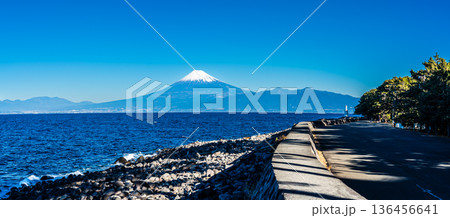 潮風のベンチからの富士山　パノラマ【静岡県沼津市】 136456641