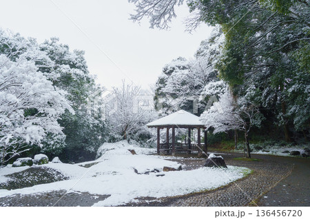 日本の冬景色|千葉県千葉市・有吉公園(おゆみの道) 日本の冬景色|千葉県千葉市・有吉公園(おゆみの道) 136456720