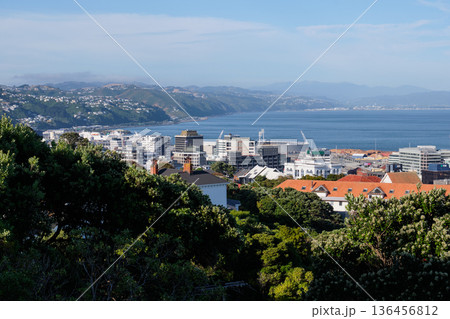 View from Mt Victoria - Wellington 136456812