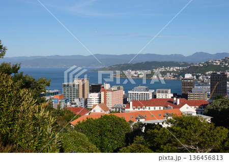 View from Mt Victoria - Wellington View from Mt Victoria - Wellington 136456813