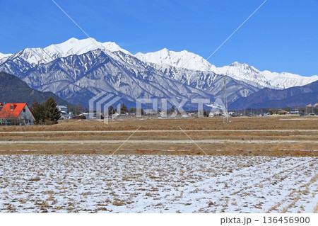 山麓から望む冬の北アルプス後立山連峰 136456900