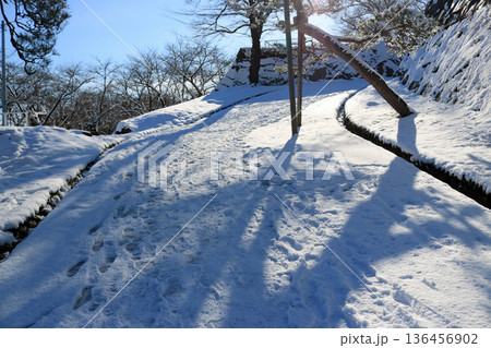 盛岡城跡公園の雪景色 136456902