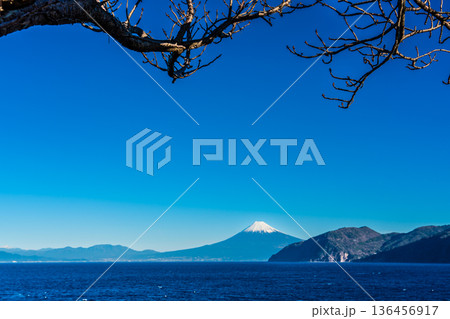 富士見駐車場からの富士山【静岡県沼津市】 136456917