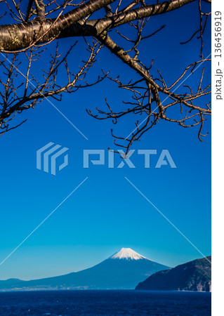 富士見駐車場からの富士山【静岡県沼津市】 136456919