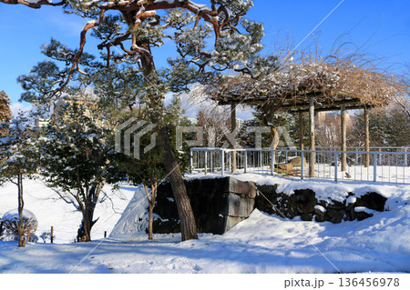 盛岡城跡公園の雪景色 盛岡城跡公園の雪景色 136456978