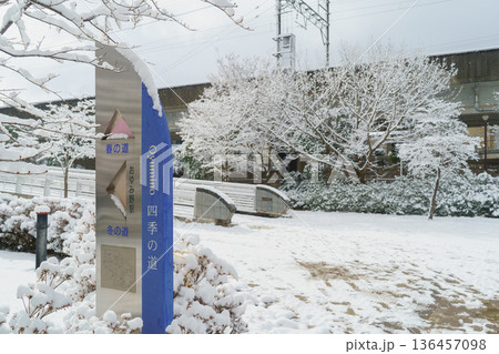 【千葉県千葉市】おゆみ野・四季の道　雪の積もる春の道・おゆみ野駅へ続く歩道橋 136457098