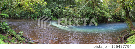 Buena Vista River and Quebrada Agria Rivers interact to create the electric blue of Rio Celeste in Tenorio Volcano National Park in the Guanacaste Volcanic Mountain Range, Costa Rica 136457794