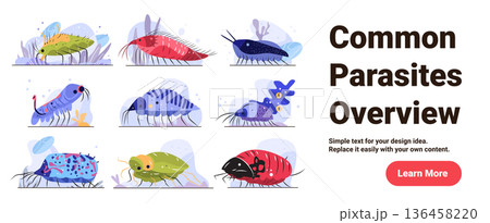 Parasite types medical infection disease pathogen overview colorful cartoon microbe organisms various shapes isolated on white background website banner 136458220