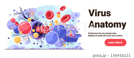 Virus anatomy medical concept microscopic pathogens abstract colorful cells blood platelets immune system background science banner Virus anatomy medical concept microscopic pathogens abstract colorful cells blood platelets immune system background science banner 136458221