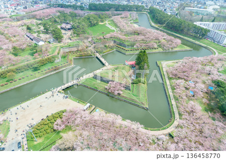 Beautiful Sakura Cherry Blossom in Spring season from Goryokaku Tower in Hakodate city, Hokkaido prefecture, Japan. landmark for tourists attractions in Hokkaido, Japan Travel and destination 136458770