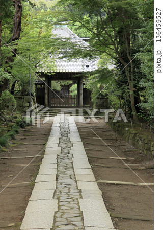 鎌倉 寿福寺 参道 136459527