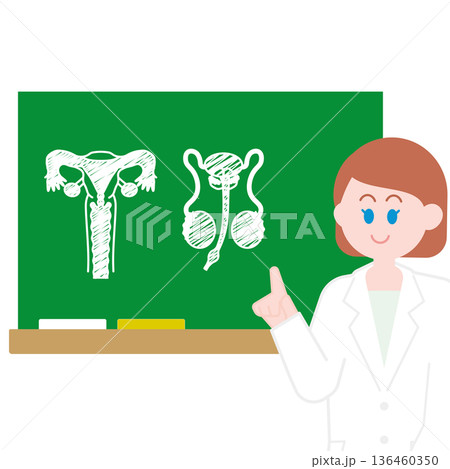 性に関する教育 性に関する教育 136460350