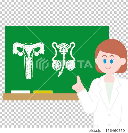 性に関する教育 性に関する教育 136460350