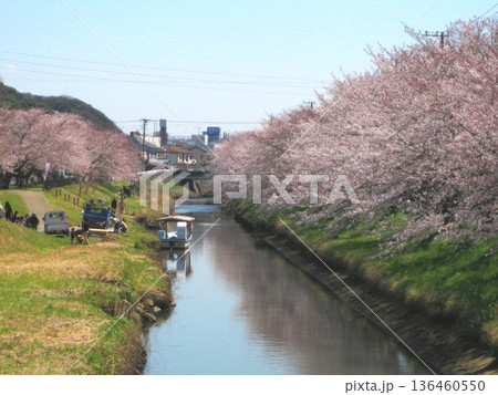 2012.4.7 木更津 矢那川の桜 136460550