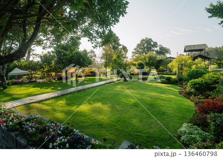Peaceful garden resort background with walkway and blooming flowers. 136460798