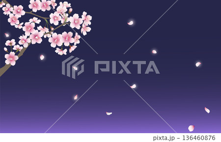 散る桜の花(ネイビー背景) 散る桜の花(ネイビー背景) 136460876